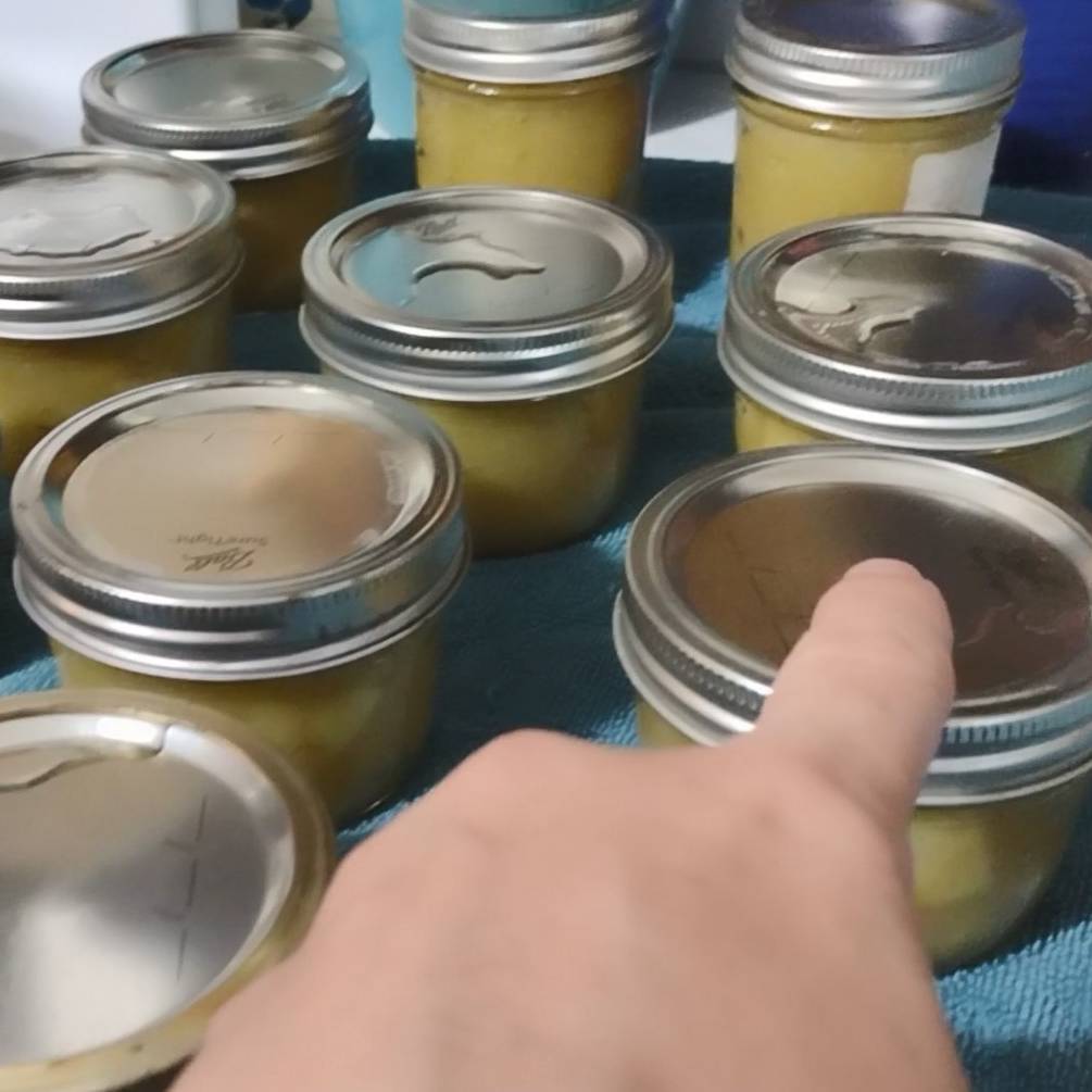 Canning 101 Part 2: Waterbath Canning