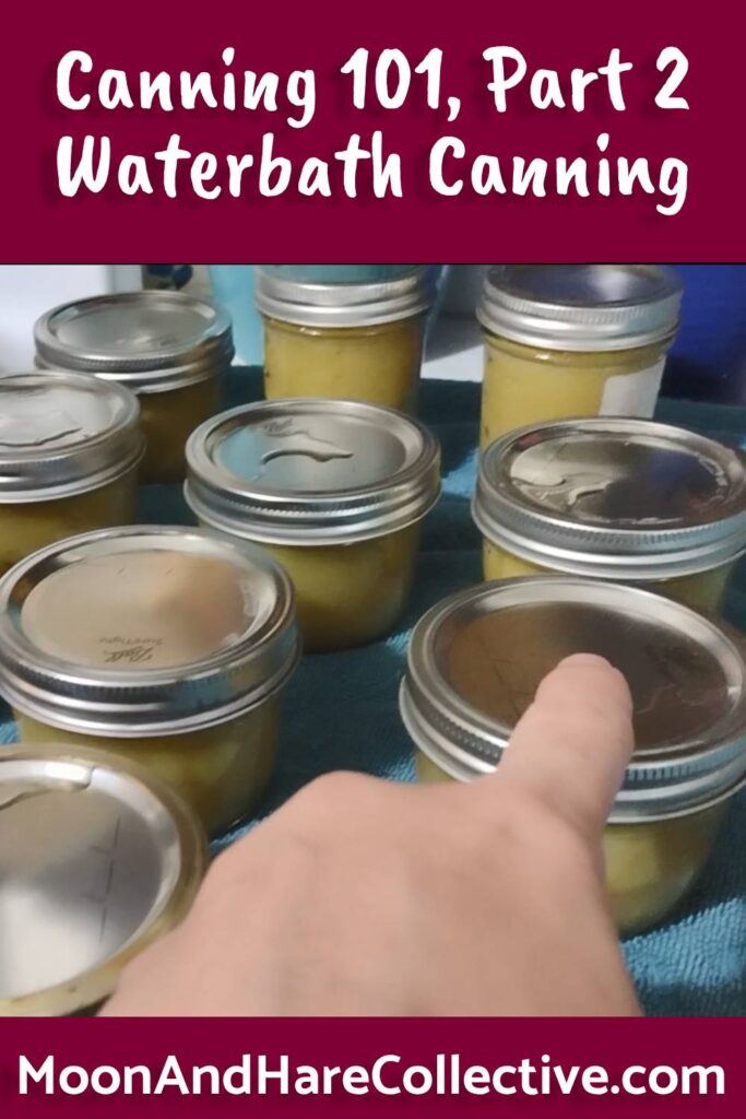 Canning 101 Part 2: Waterbath Canning